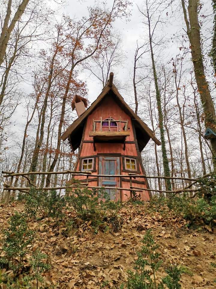 Ormanya Doğa