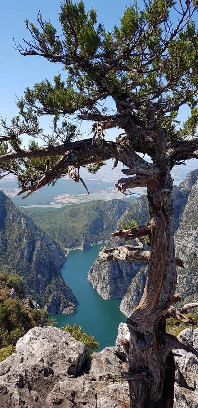 Karadeniz Yayla Turu