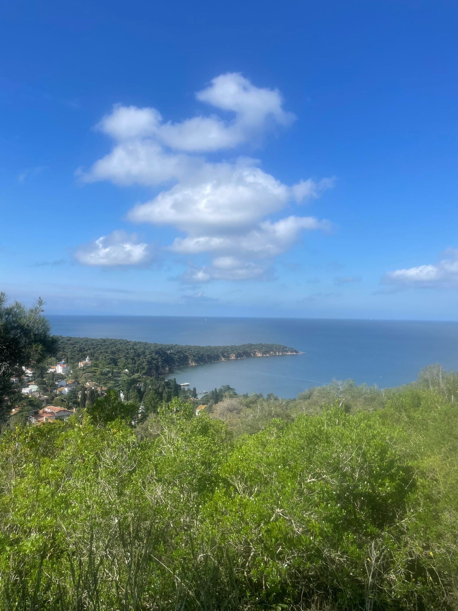 Büyükada Deniz