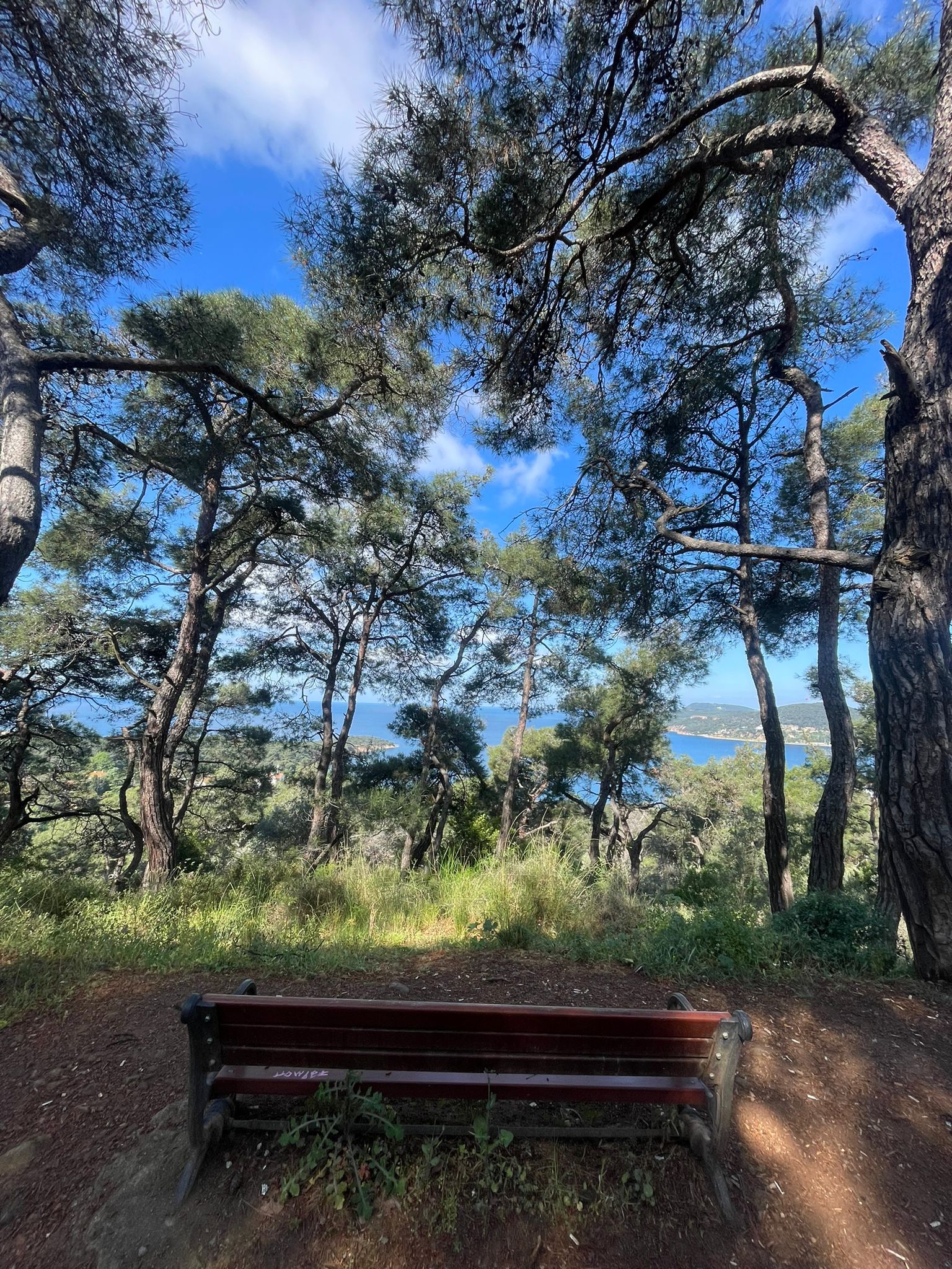 Büyükada Doğa