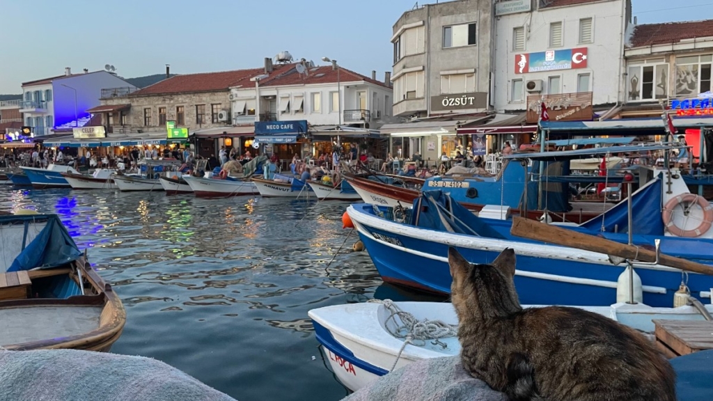 Foça Kıyı Kampı