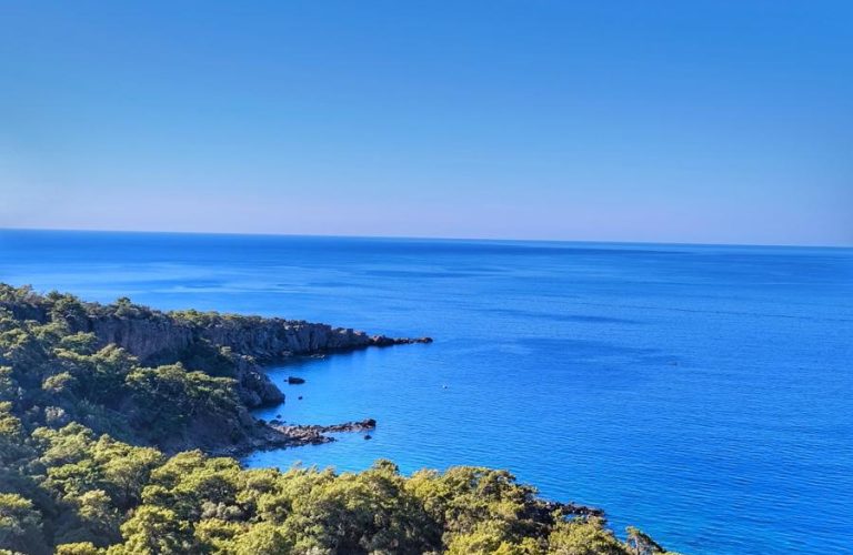 Akdeniz kıyısında yemyeşil orman ve turkuaz deniz manzarası.