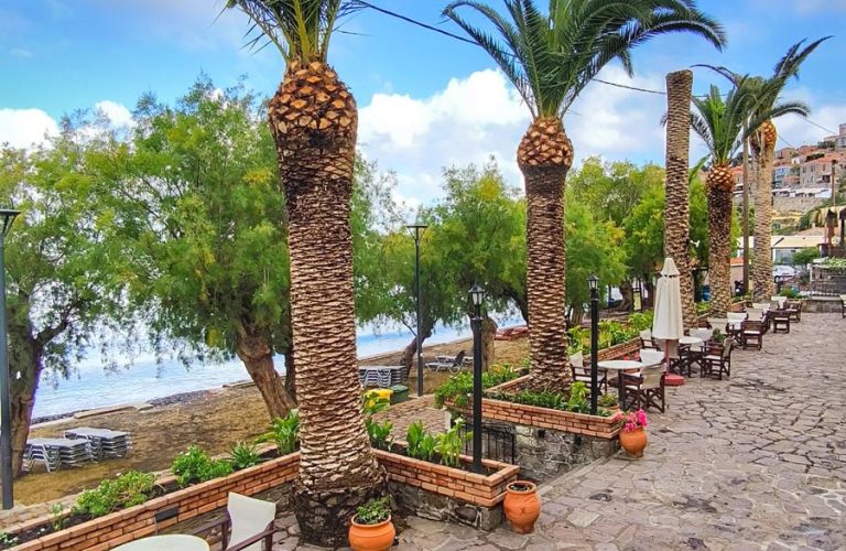 Palmiye ağaçlarıyla çevrili sahil kenarı taş yol ve kafe oturma alanı.
